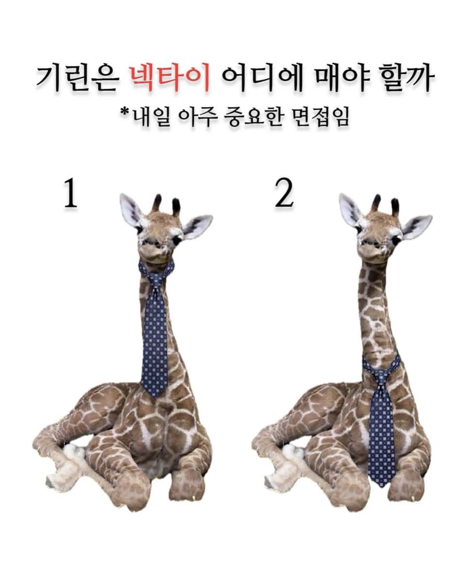 기린은 넥타이를 어디매야함?